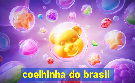 coelhinha do brasil